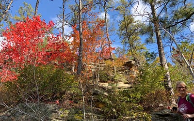 Unlocking Success: Why Choose a Property Management company, or Co-Host for Your Red River Gorge Cabin