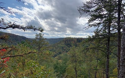 The Red River Gorge, KY Tourism Boom: Why NOW is the time to Invest in Airbnb and Short-Term Rental